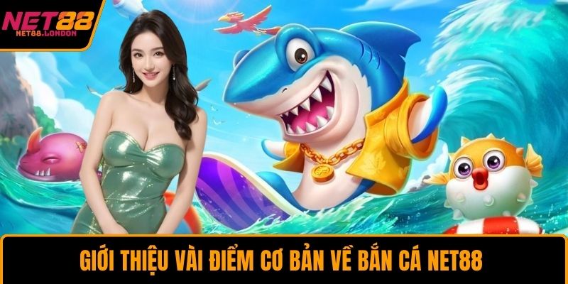 Giới thiệu vài điểm cơ bản về bắn cá NET88