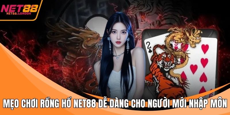 Mẹo chơi rồng hổ tại NET88
