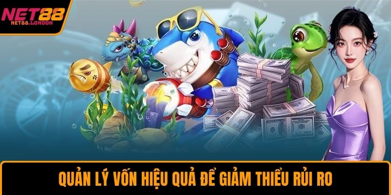 Quản lý vốn hiệu quả để giảm thiểu rủi ro