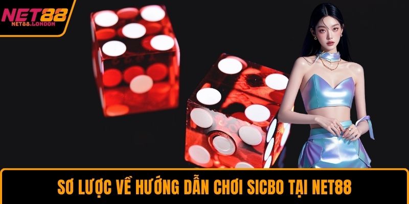 Sơ lược về hướng dẫn chơi Sicbo tại NET88 