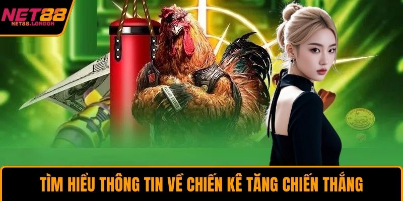 Tìm hiểu thông tin về chiến kê tăng chiến thắng