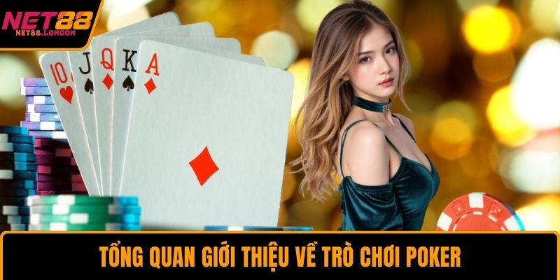 Tổng quan giới thiệu về trò chơi poker